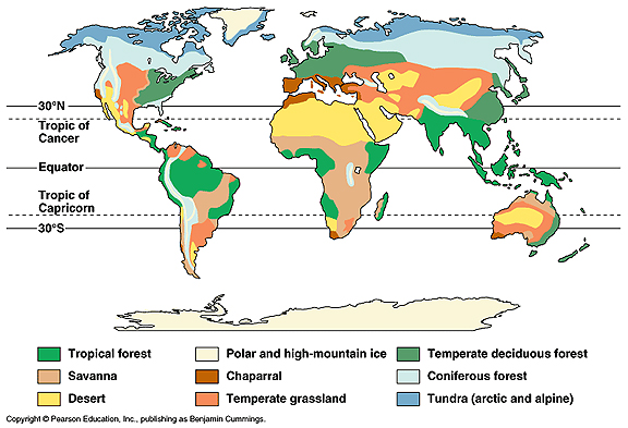 The Six Biomes