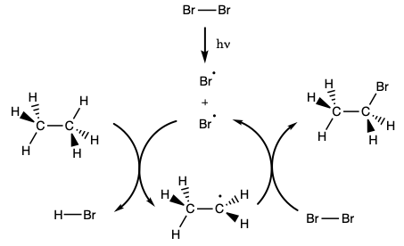 a reaction scheme showing the chain reaction of bromine with 