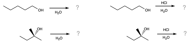 chemical equation asking the question, 'What happens when n- and t- pentanol are mixed with water and aqueous hydrochloric acid'