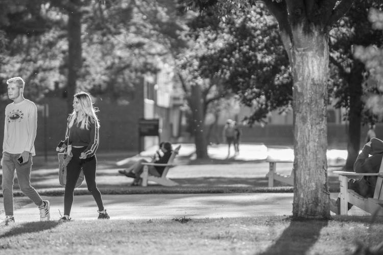 students walking across the campus green in the late afternoon
