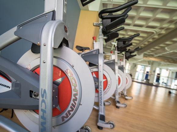 image of a line of spinning cycles in the Ely Fitness Center