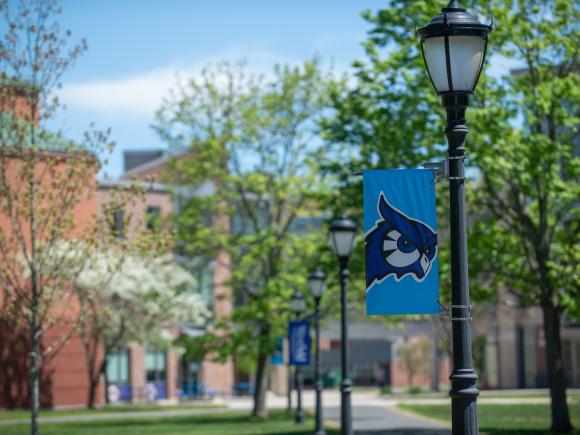 WSU campus in the spring with flowering trees and light post with blue owl spirit mark flag.