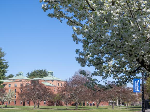 Campus in the spring with flowering trees and WSU blue banner logo on light post.