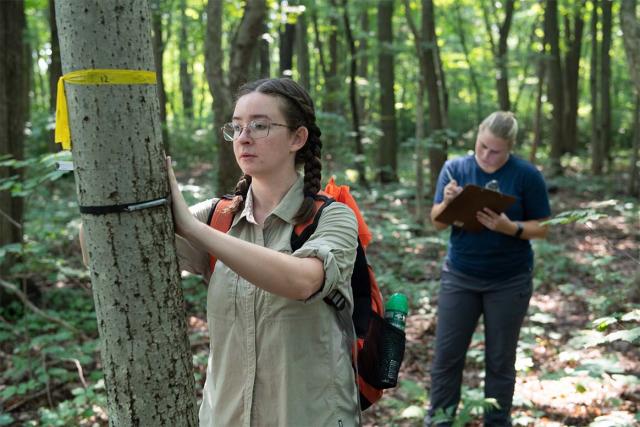 Two students take notes while observing a tree marked with a yellow ribbon deep in a forest.