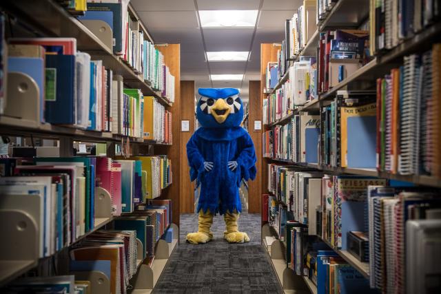 Nestor owl mascot in the library with shelves of books.