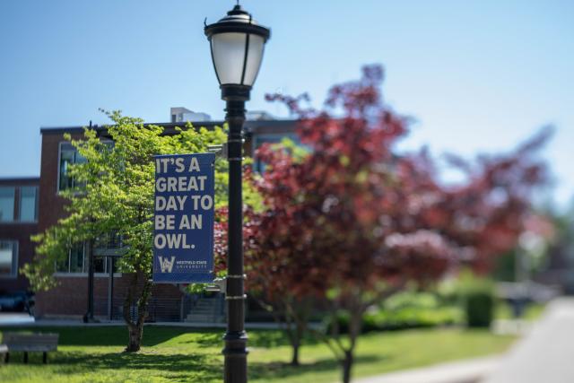 It's a Great Day to be an Owl flag on light pole.