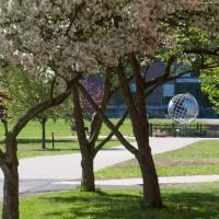 A stock photo of the campus globe. Several flowered threes border the walkway to the globe.